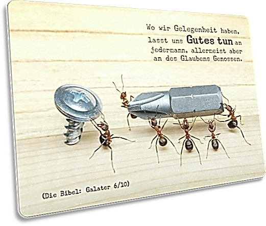 Christliche Postkarte: Ameisen bei der Arbeit - Postkarte mit Bibelvers