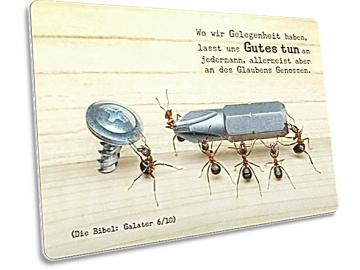 Postkarte: Ameisen bei der Arbeit