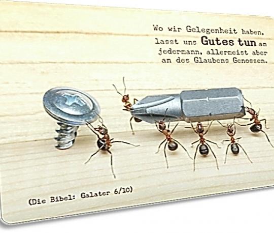 Christliche Postkarte: Ameisen bei der Arbeit