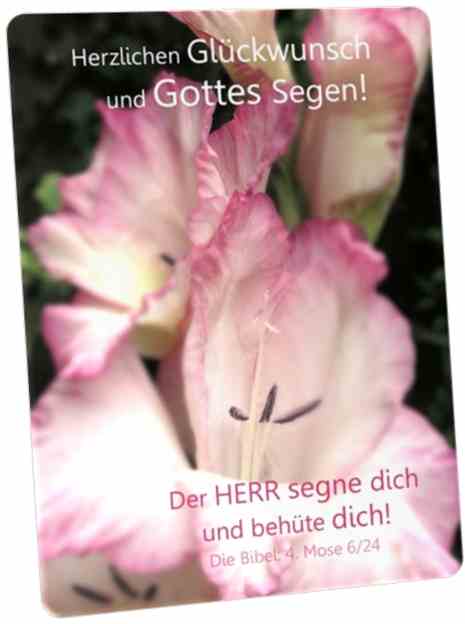 Glückwunschkarte - Postkarte: Gladiolenblüten