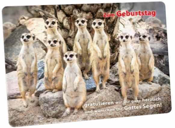 Christliche Geburtstagskarte - Postkarte : Erdmännchen-Rudel