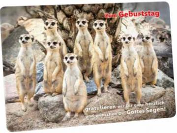 Christliche Geburtstagskarte - Postkarte : Erdmännchen-Rudel