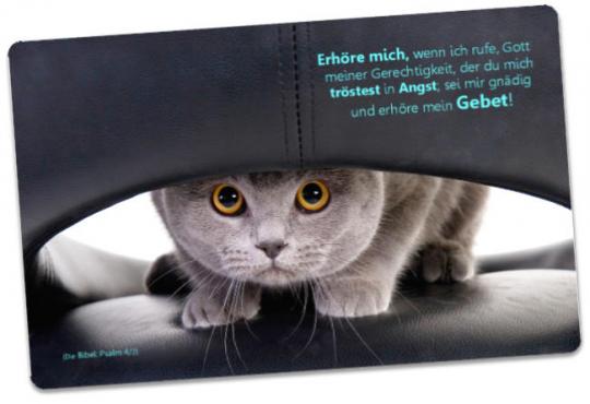 Christliche Postkarte: Katze auf Ledersessel - Psalm 4,2