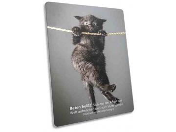 Postkarte: An Seil hängendes Kätzchen
