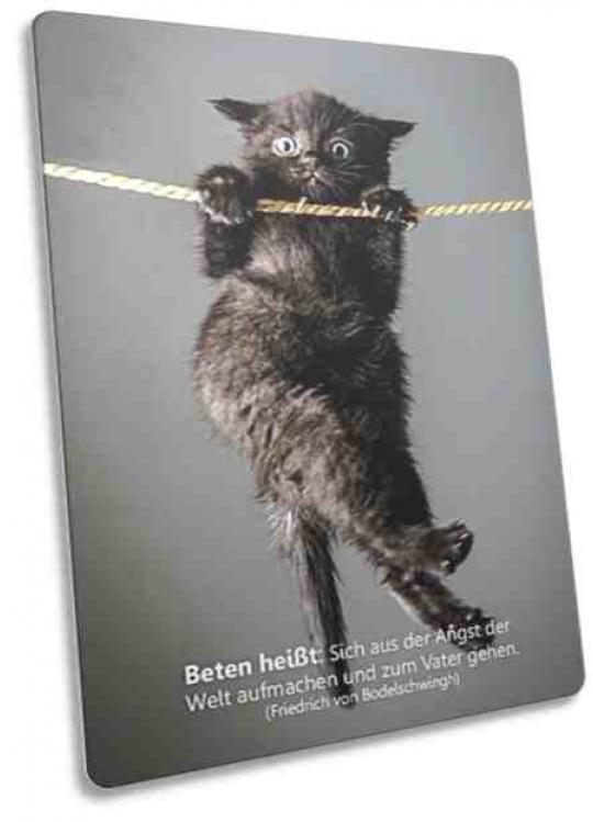 Christliche Postkarte: An Seil hängendes Kätzchen
