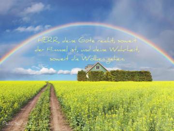 Christliches Poster A2 - Regenbogen über Rapsfeld