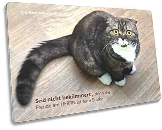 Christliche Postkarte: Erstaunt blickende Katze