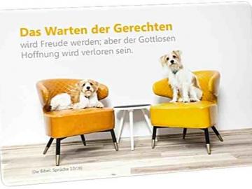 Christliche Postkarte: Hunde auf bunten Sessel - Mit Bibelvers: Sprüche 10,28
