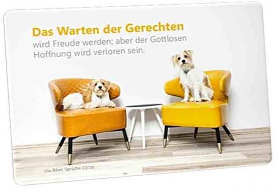 Christliche Postkarte: Hunde auf bunten Sessel