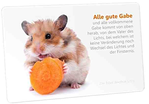 Christliche Postkarte: Hamster mit Karotte - mit Bibelvers: Jakobus 1,17