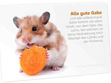 Christliche Postkarte: Hamster mit Karotte - mit Bibelvers: Jakobus 1,17