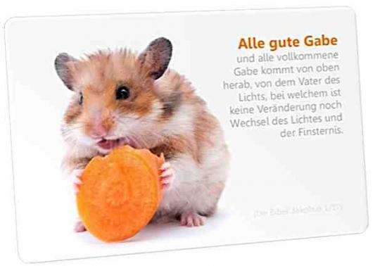 Christliche Postkarte: Hamster mit Karotte