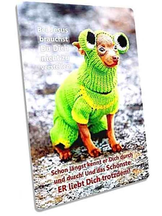 Christliche Postkarte: Hund in voller Strickmontur