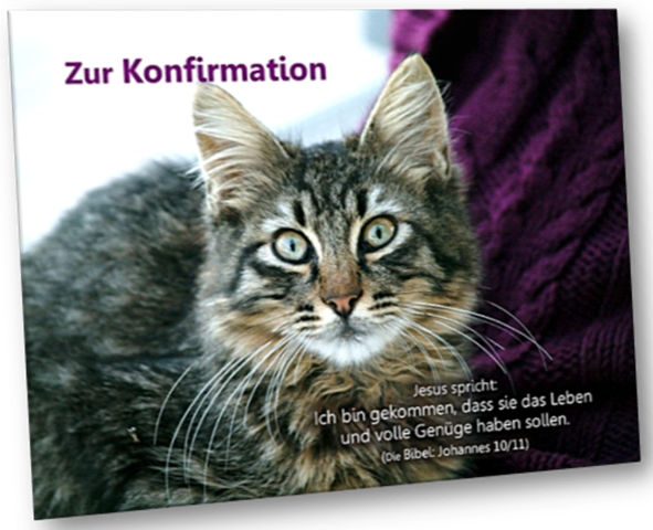 Christliche Konfirmationskarte - Katzenportrait