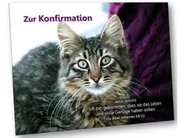 Christliche Konfirmationskarte - Katzenportrait