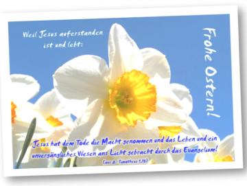 Christliche Osterkarte, Faltkarte: Narzissenblüte I