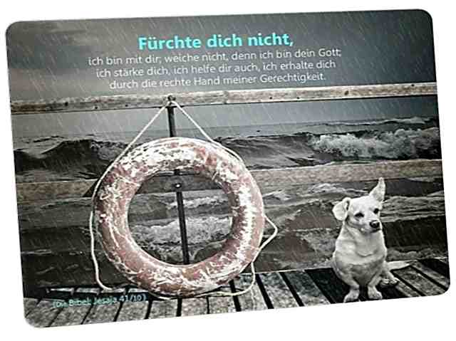 Christliche Postkarte: Hund an stürmischer See