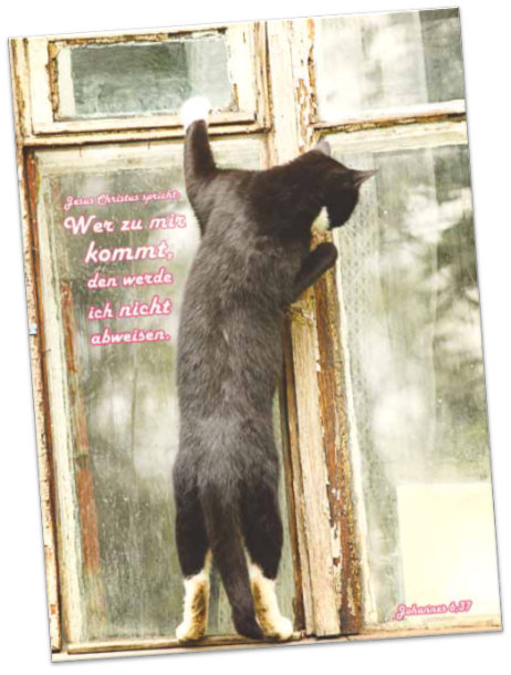 Plakat A3 Jahreslosung 2022 -Am Fenster stehende Katze