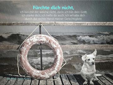 Christliches Poster A3: Hund an stürmischer See