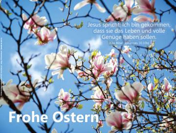 Poster Ostern A3 - Magnolienblüten