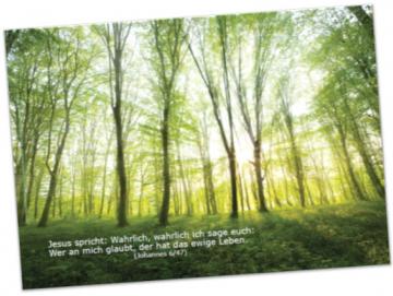 Christliches Poster A3: Lichtdurchfluteter Frühlingswald