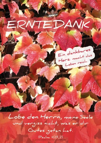 Banner mit bunt gefärbten Weinblättern und Bibelvers aus Psalm 103,2: „Lobe den Herrn, meine Seele und vergiss nicht, was er dir Gutes getan hat.“