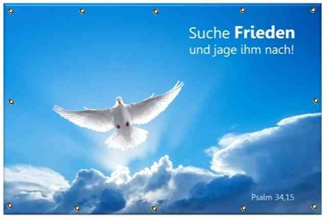Banner für Frieden & Versöhnung- Weiße Taube - Friedenstaube