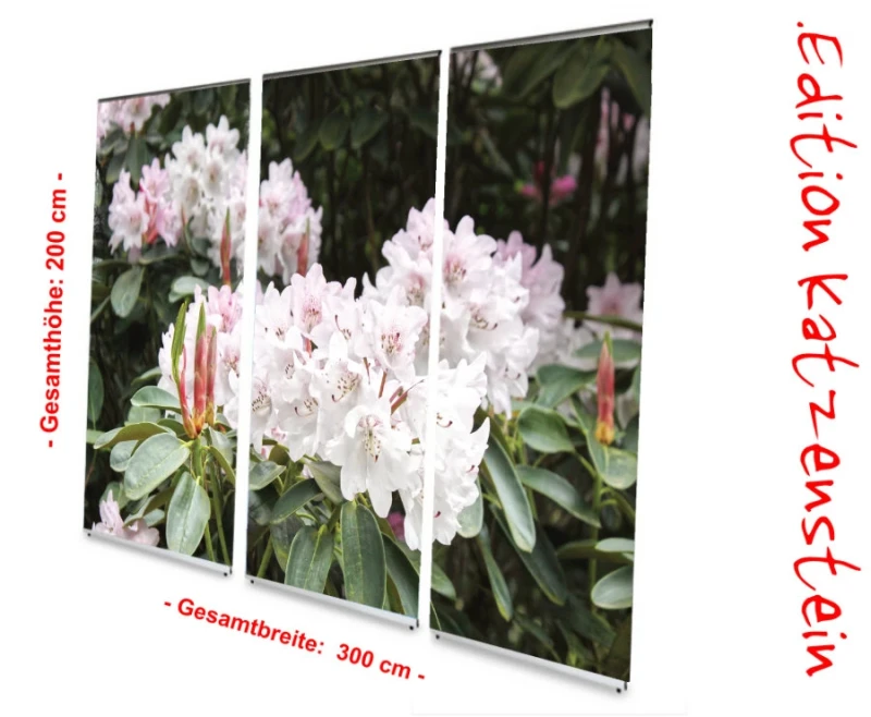 Bestatterbedarf: L-Banner Display -Rhododendron-Blüten-in-Hellrosa