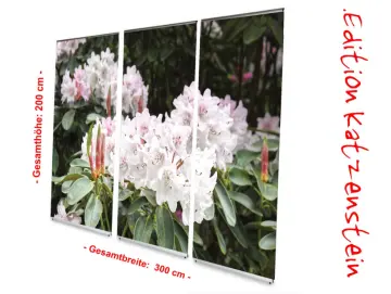 Bestatterbedarf: L-Banner Display -Rhododendron-Blüten-in-Hellrosa