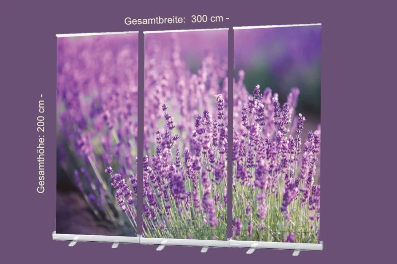 Bestatterbedarf Roll-Up Display 3er-Set - Lavendelblüten