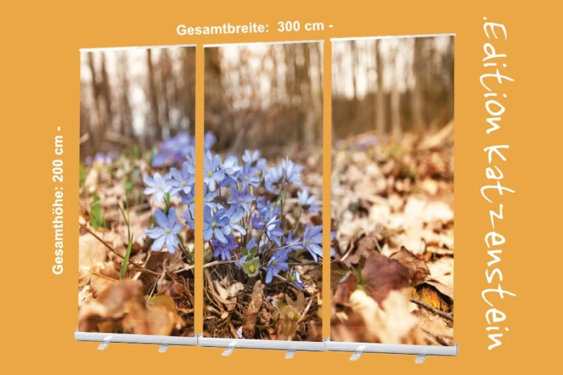 Bestatterbedarf: Roll-Up Display 3er-Set "Leberblümchen im Laub" zur Dekoration