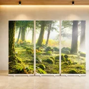 Dreiteiliges Roll-Up Display mit lichtdurchflutetem Mooswald für Trauerhallen und Abschiedsräume. 300 × 200 cm, B1-zertifiziert und schnell aufgebaut. - Infinity Abschiedsdesign