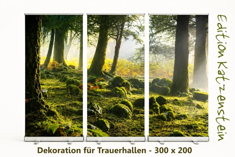 Freigestellte Produktaufnahme eines dreiteiligen Roll-Up Display-Sets mit einem lichtdurchfluteten Mooswald, hohen Bäumen und moosbewachsenen Steinen auf hellem Studiohintergrund.