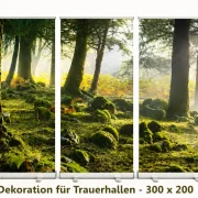 Freigestellte Produktaufnahme eines dreiteiligen Roll-Up Display-Sets mit einem lichtdurchfluteten Mooswald, hohen Bäumen und moosbewachsenen Steinen auf hellem Studiohintergrund.