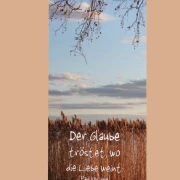2er-Set Roll-Up Displays mit Abendstimmung am Plattensee als christliche Trauerdekoration für Bestatterbedarf (200 x 200 cm)