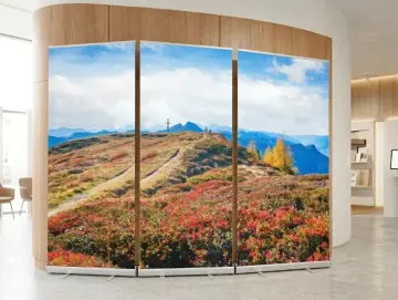 Bestatterbedarf: Roll-Up Display „Herbstliches Gipfel-Glühen“ – 3er-Set