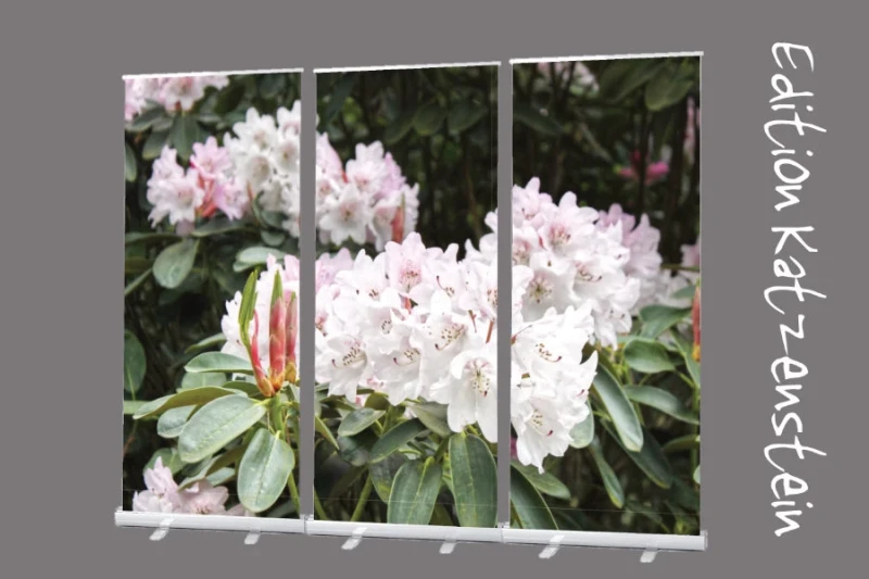 Bestatterbedarf: Roll-Up Display Set "Rhododendron-Blüten in Hellrosa" zur Dekoration