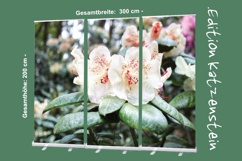 Bestatterbedarf: Roll-Up Display Set "Rhododendron Blüten in Hellgelb