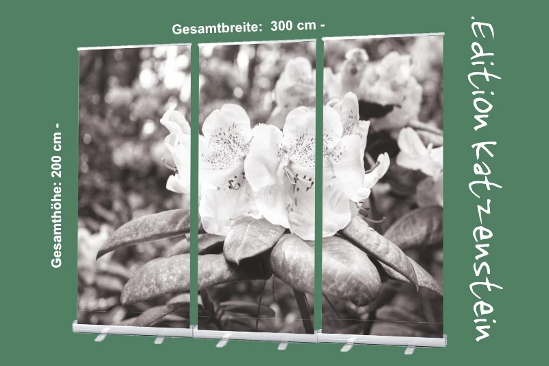 Bestatterbedarf: Roll-Up Display Set "Rhododendron Blüten in Hellgelb