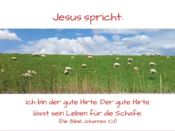 Christliche Postkarte– Am Deich grasende Schafe