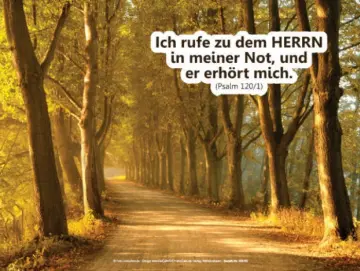 Christliche Postkarte– Baumallee