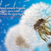 Christliche Postkarte: Pusteblume