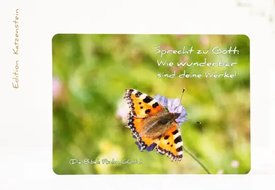 Christliche Postkarte: Schmetterling - Admiral - auf Blume