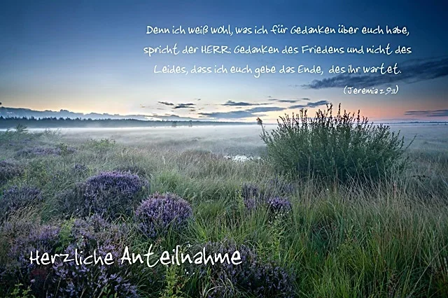 Sanfte Heidelandschaft im Morgenlicht, Symbol für Trost und Hoffnung
