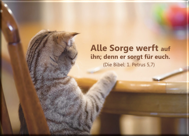 Christlicher Leinwanddruck - Katze am Esstisch - Katzenbild