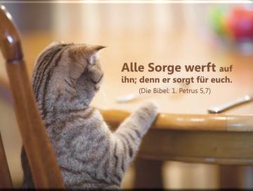 Christliches Poster A1 - Katze am Esstisch