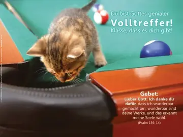 Christliches Poster A1 - Kätzchen auf Billiardtisch