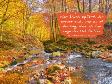 Christliches Poster A2 - Bach im Herbstwald