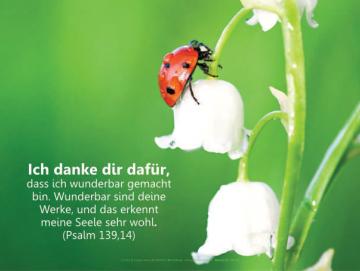 Christliches Poster A1 - Marienkäfer auf Maiglöckchen