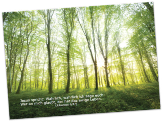 Christliches Poster A2: Lichtdurchfluteter Frühlingswald
